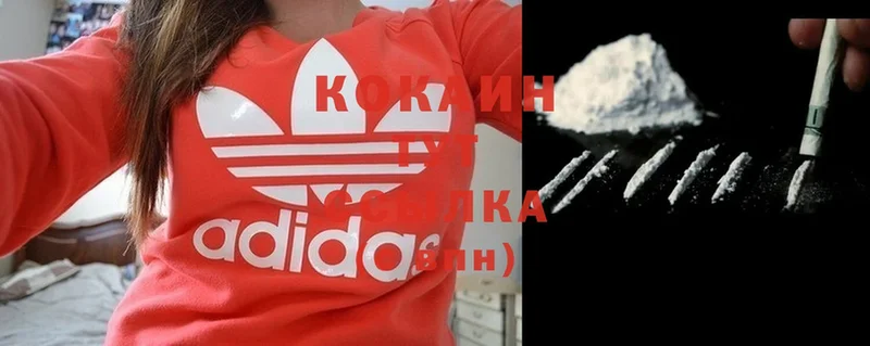 где купить наркоту  Кызыл  Cocaine 99% 