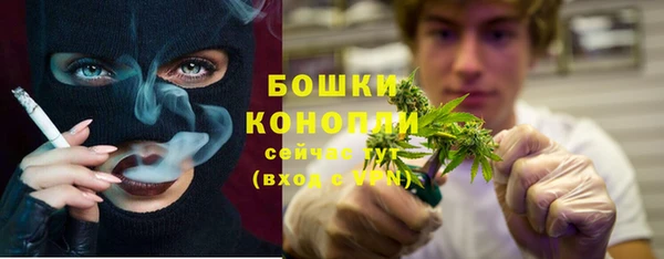 хмурый Новозыбков