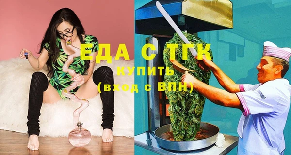 хмурый Новозыбков