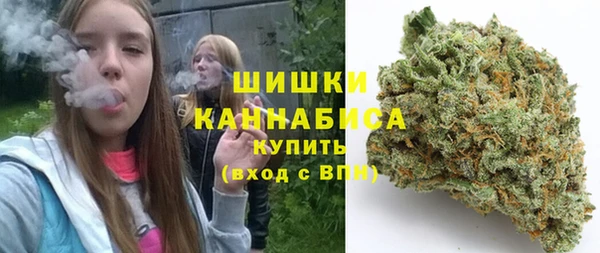 прущие крисы Тайга