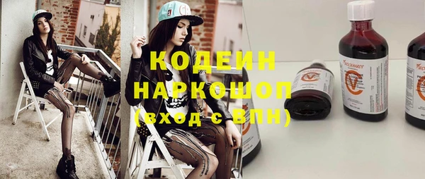хмурый Новозыбков