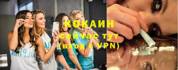 стаф Сясьстрой