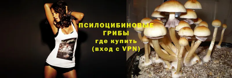 Псилоцибиновые грибы Magic Shrooms  omg зеркало  Кызыл 