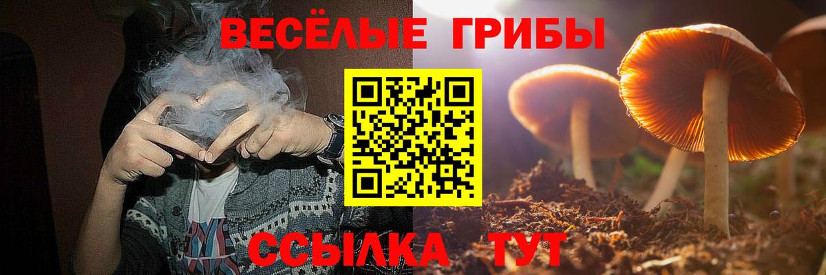 Псилоцибиновые грибы прущие грибы  купить наркотик  Кызыл  Псилоцибиновые грибы прущие грибы  Вход с VPN 